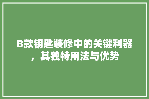 B款钥匙装修中的关键利器，其独特用法与优势