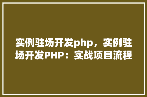 实例驻场开发php，实例驻场开发PHP：实战项目流程介绍