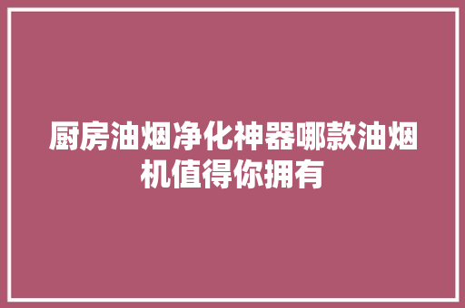 厨房油烟净化神器哪款油烟机值得你拥有