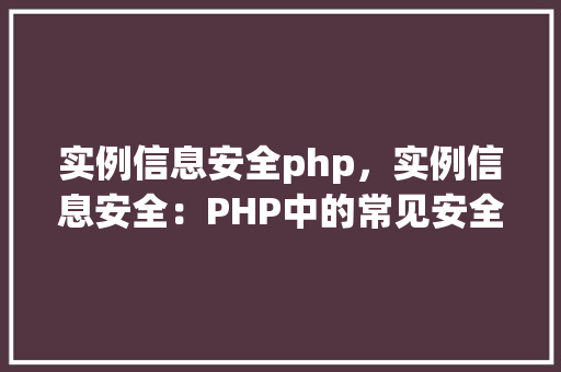 实例信息安全php，实例信息安全：PHP中的常见安全漏洞及防御措施