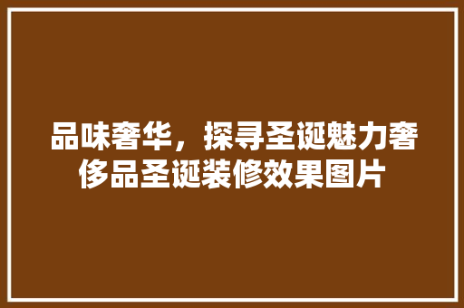 品味奢华，探寻圣诞魅力奢侈品圣诞装修效果图片