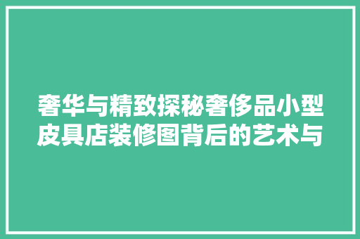 奢华与精致探秘奢侈品小型皮具店装修图背后的艺术与匠心
