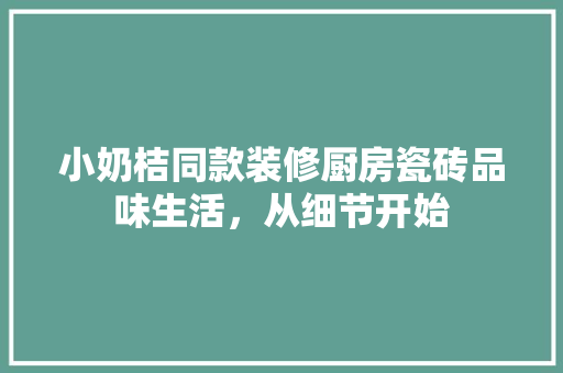 小奶桔同款装修厨房瓷砖品味生活，从细节开始