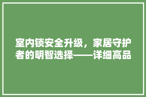 室内锁安全升级，家居守护者的明智选择——详细高品质室内锁推荐