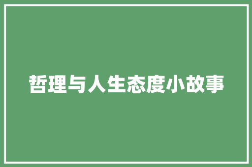 爆款装修，打造温馨家居新风尚——装修房子爆款文案的奥秘  第1张