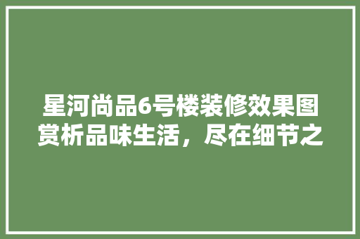 星河尚品6号楼装修效果图赏析品味生活，尽在细节之中