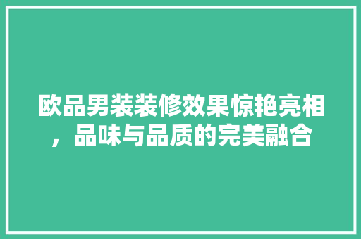 欧品男装装修效果惊艳亮相，品味与品质的完美融合