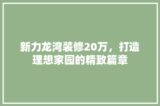新力龙湾装修20万，打造理想家园的精致篇章  第1张
