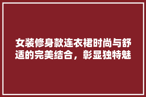 女装修身款连衣裙时尚与舒适的完美结合，彰显独特魅力