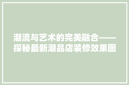 潮流与艺术的完美融合——探秘最新潮品店装修效果图