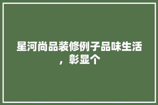 星河尚品装修例子品味生活，彰显个