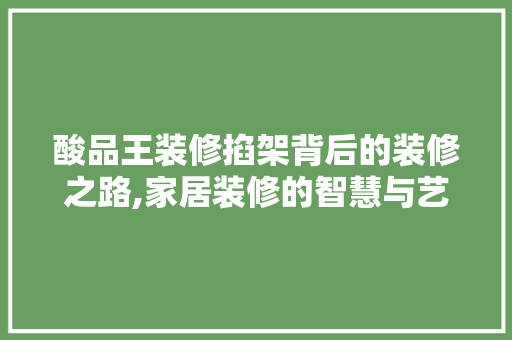 酸品王装修掐架背后的装修之路,家居装修的智慧与艺术