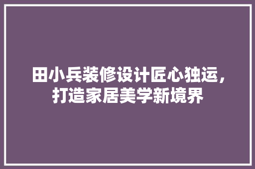 田小兵装修设计匠心独运，打造家居美学新境界