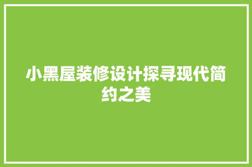 小黑屋装修设计探寻现代简约之美