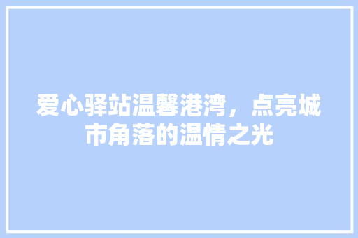 爱心驿站温馨港湾，点亮城市角落的温情之光