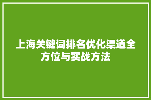 上海关键词排名优化渠道全方位与实战方法