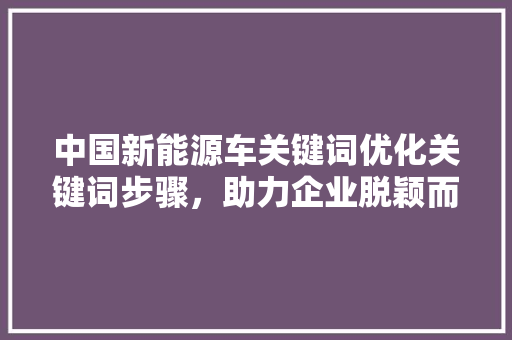 中国新能源车关键词优化关键词步骤,助力企业脱颖而出