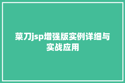 菜刀jsp增强版实例详细与实战应用